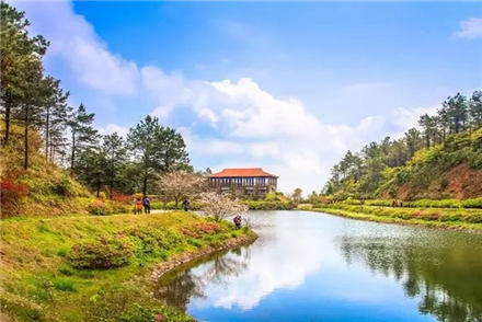 泉州南(nán)安香草(cǎo)世界訓練基地(dì)